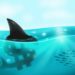 Loanshark Singapore
